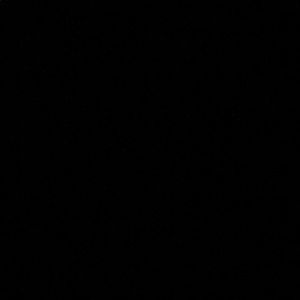 Meet your Posher, Taiylor